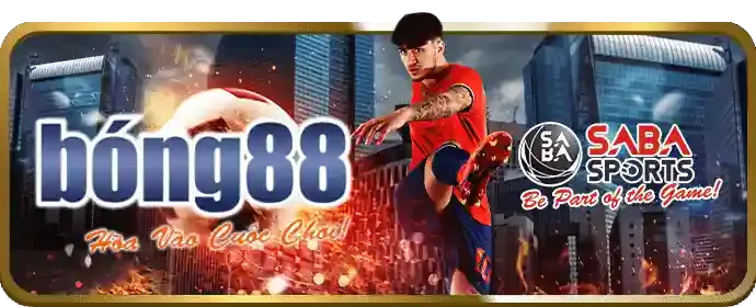 Chương trình VIP nova88 bet